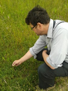The RSPB's Chris Tyas with a sprig of sea clover.