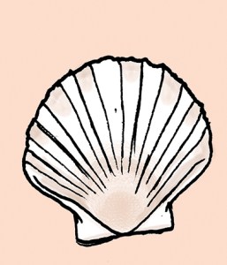 favoured-scallop3-web